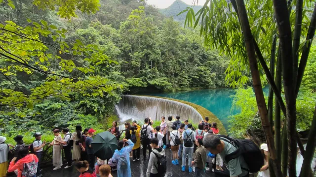 新澳门开门奖历史记录查询