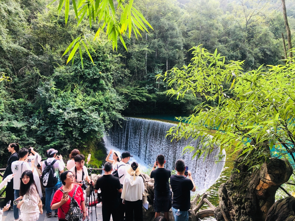 新澳门开门奖历史记录查询